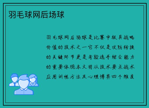 羽毛球网后场球